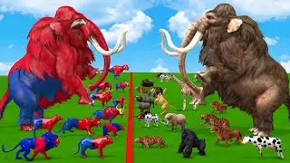10 Spider Elpehant Mammoth vs Prehistoric Mammals vs White Albino Animals Size Comparison vs Animals