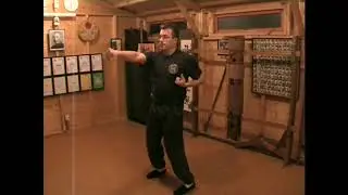 Wing Chun Kung Fu - Bil Jee Form