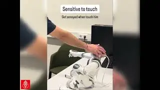 Nao Robot
