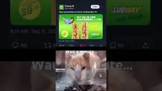 Wait a minute #memes #fypviral #subscribe #funny #funnyviral #useaudio