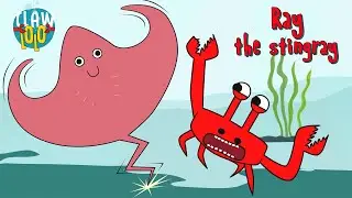 Meet Ray the Stingray! 🐟 Clawlolo 🦀🎶 Music Animation for Kids! 🎶🥳