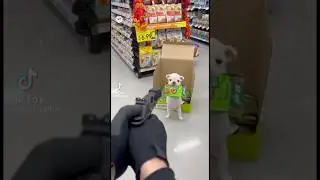All the Pibbles stand together! 😇                 #ai #soraai #sora #shortvideo #shorts #memes