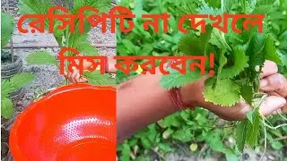 তাজা লাইপাতা🌿, সাথে আইর মাছ 🐟💚🤍| Fresh Laipata with Ayer Fish | গ্রামীণ গল্প ও রান্না |