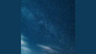 D23
