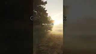 Walks can do wonders. #moodboost #inspirationalvideos #lifeadvicetiktok #selfcare #dailyignite