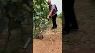 #shorts #agriculture #farming2024 #satisfying #machine #shot #EliteShortsUnleashed #4408