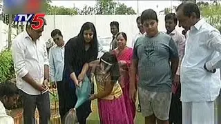 CM KCR Family Plants Saplings In Camp Office | Haritha Haram | TV5 News