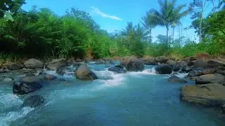 Gentle Stream in the River, Serene Water Sounds, Enchanted River Ambience, Nature Scene
