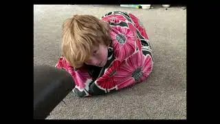Perfect loaf and stupid cat tries to cat a mouse and fails
