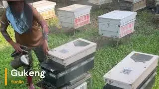 An Intelligent Beehive Health Monitoring System Based on Multi-Sensor Fusion