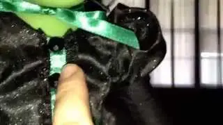 Adora wicked witch doll