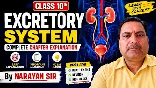 Class 10th --Life process =Excretory system of human 