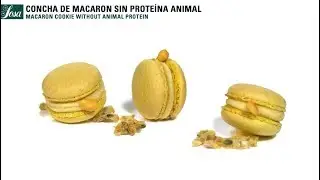 Concha de macaron sin proteína animal - Potatowhip - Texturizantes