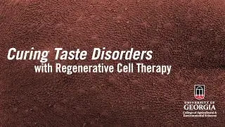 Curing Taste Disorders