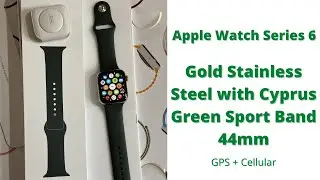 Apple Watch Series 6 - Gold Stainless Steel with Cyprus Green Sport Band 44mm Quick Look