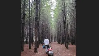 Buxton Woods Highlights ft. Buck 