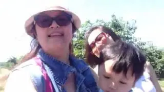 cherry picking wagon ride