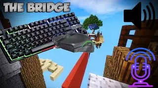 Bridge ASMR ft.Clicky Mouse and Keyboard II BlocksMC