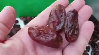 Dates Washing Cleaning Machine