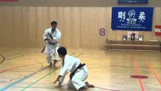Suparinpei Bunkai by Shihan Michael Kienast