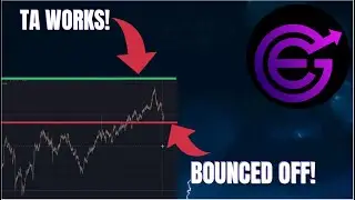 EVERGROW COIN HAS PULLED BACK!? PRICE UPDATE!