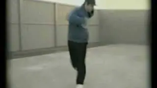 Hiltzy australianshuffler.com
