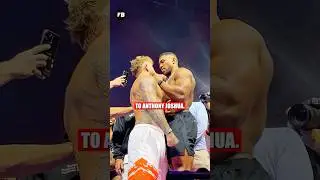 I Tried Analyzing Jake Paul's Reactions for a Week and Here's What I Found