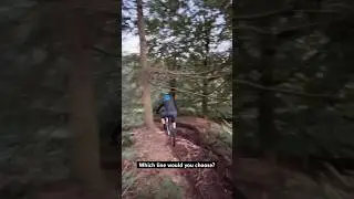 Which Mtb line would you choose? #mountainbike #mtb #cannockchase