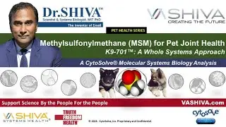Dr.SHIVA&trade;: MSM for Pet Health K9-701&trade;: A Whole Systems Approach(2/24)