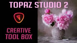 TOPAZ STUDIO 2: Creative Tool Box