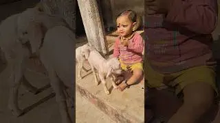 baby is play😚 #shortsfeed #baby #newborn