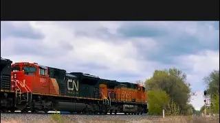 BNSF Mixed Freight Rumbling Through Plainfield