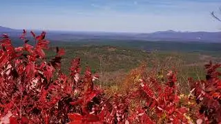 Talimena State Park & Talihena Drive