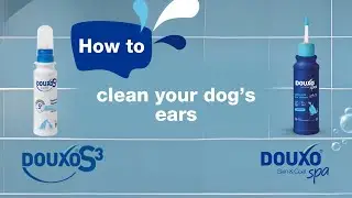 Dirty Dog Ears? Discover How To Clean Your Dog's Ears with DOUXO - Pet Skincare Experts