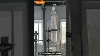 20L single-layer glass reactor