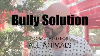 Решение Bully от Jackson Galaxy Solutions for Cats