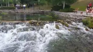 Giant Springs Great Falls Montana, smallest river in the world, Roe River
