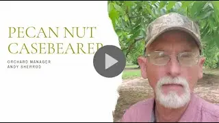 Sustainable Pest Management