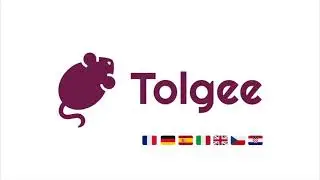Tolgee - Open-source tool for easy software localization