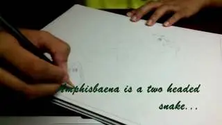 Speed Drawing of an Amphisbaena