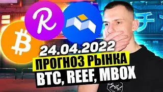 Обзор Крипторынка: BTC, REEF, MBOX | Прогноз Bitcoin, Reef, MOBOX | МОНЕТЫ НА СТАРТЕ!!!
