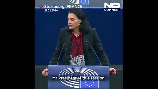 MEP makes silent gesture in support of Gaza at the European Parliament