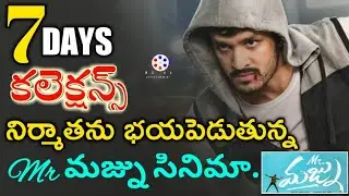 Mr majnu 7 days collections | Mr majnu movie 7 days box office collections |Mr majnu collections |ak