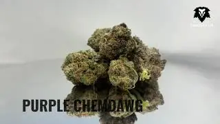 Chronic Haze - Purple Chemdawg