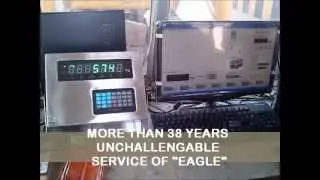 IN-MOTION MOTION WEIGHING SYSTEM EAGLE.wmv