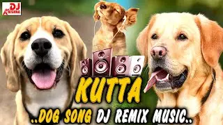 Dog Song DJ Remix || Dog DJ Song 2025 | Popular Dog Song | Dog Remix Only For Entertainment | #DjMix