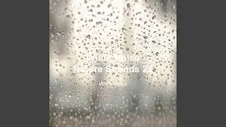 Countryside Morning Sound