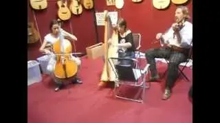 Cremona 2012 exhibition Elena Biasi playing harp
