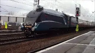 The Capital Streak - 7th December 2013