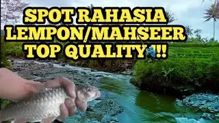 Ngabuburide‼️Review Spot Lempon/Mahseer Ternama Di Wonosobo | Asli Bukan Kaleng2 | Microfishing Indo